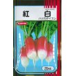 画像1: [大根]　はつかだいこん　紅白　20ｍｌ　サカタ交配　 (1)