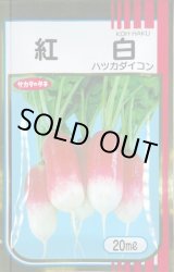 画像: [大根] はつかだいこん 紅白 20ml (株)サカタのタネ