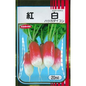 画像: [大根]　はつかだいこん　紅白　20ｍｌ　サカタ交配　