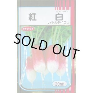 画像: 送料無料　[大根]　はつかだいこん　紅白　20ml　(株)サカタのタネ