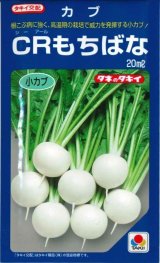 画像: [かぶ]　ＣＲもちばな　20ｍｌ　タキイ種苗（株）