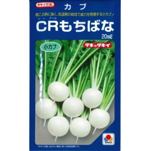 画像: [かぶ]　ＣＲもちばな　20ｍｌ　タキイ種苗（株）