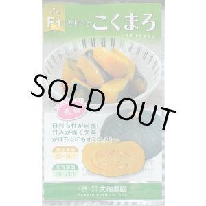 画像: 送料無料　[かぼちゃ]　こくまろ　10粒　大和農園