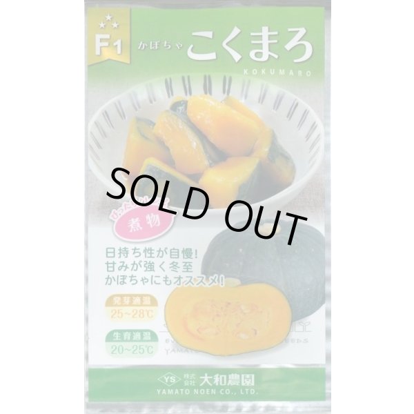 画像1: 送料無料　[かぼちゃ]　こくまろ　10粒　（株）大和農園 (1)