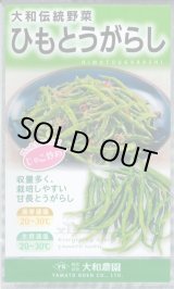 画像: 送料無料　[とうがらし]　ひもとうがらし1ml　（株）大和農園