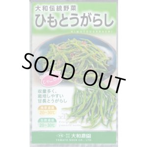 画像: 送料無料　[とうがらし]　ひもとうがらし1ml　大和農園