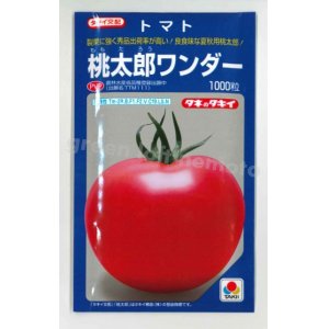 画像: [トマト/桃太郎系]　送料無料！　桃太郎ワンダー　1000粒　タキイ種苗（株）