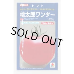 画像: 送料無料　[トマト/桃太郎系]　桃太郎ワンダー　1000粒　タキイ種苗(株)