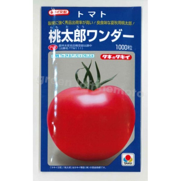 画像1: [トマト/桃太郎系]　送料無料！　桃太郎ワンダー　1000粒　タキイ種苗（株） (1)