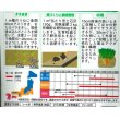 画像2: [葉物]　アイデアル（スイスチャード）　20ｍｌ　サカタのタネ（株） (2)