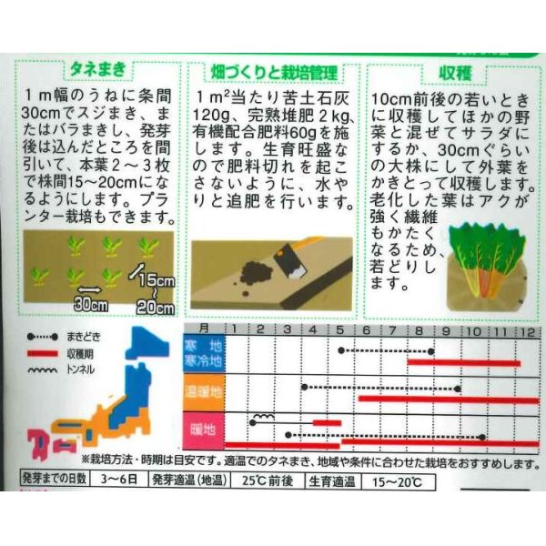 画像2: [葉物]　アイデアル（スイスチャード）　20ｍｌ　サカタのタネ（株） (2)