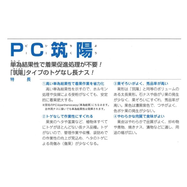 画像3: 送料無料 [なす] PC筑陽 100粒 タキイ種苗(株) (3)