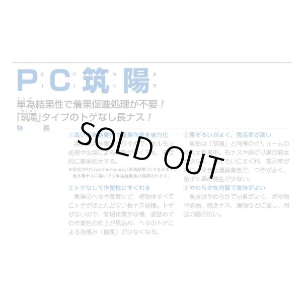 画像3: 送料無料　[なす]　PC筑陽　13粒　タキイ種苗(株)　DF (3)
