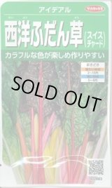 画像: 送料無料　[葉物]　アイデアル(スイスチャード)　約30粒　(株)サカタのタネ　実咲350（002963）