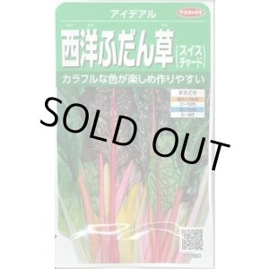 画像: 送料無料　[葉物]　アイデアル(スイスチャード)　約30粒　(株)サカタのタネ　実咲350（002963）