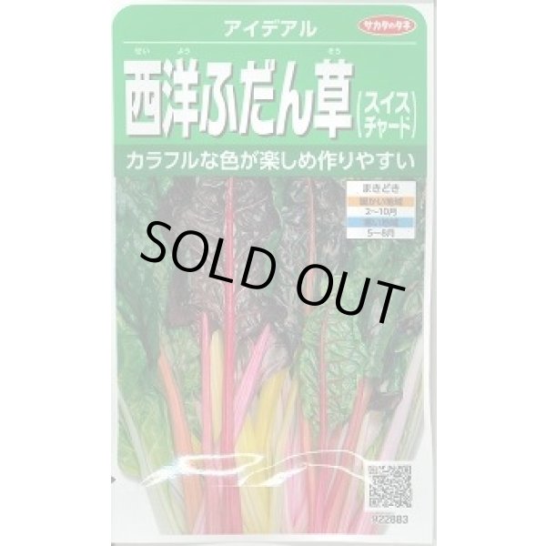 画像1: 送料無料　アイデアル(スイスチャード)　約30粒　(株)サカタのタネ　実咲350（002963） (1)
