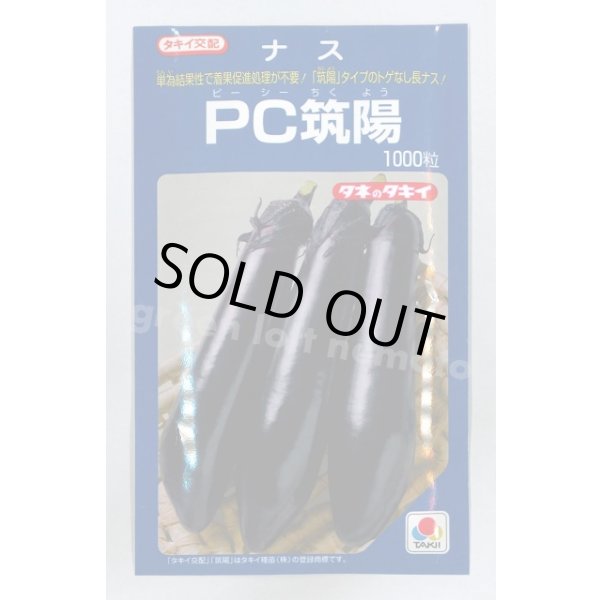 画像1: 送料無料　[なす]　PC筑陽　1000粒　タキイ種苗(株) (1)