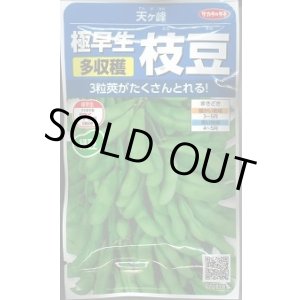 画像: 送料無料　[枝豆]　天ヶ峰　約50粒　(株)サカタのタネ　実咲250（003150）