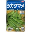 画像1: [豆類]　シカクマメ　約20粒　サカタのタネ（株）実咲300 (1)