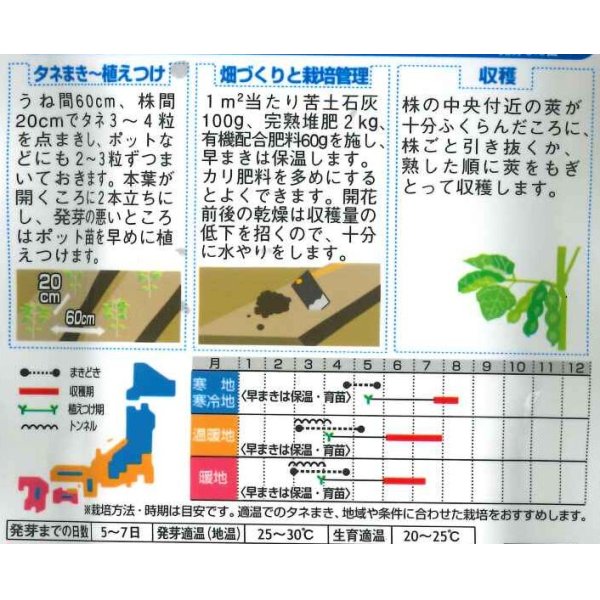 画像2: [枝豆]　天ヶ峰　1L　サカタのタネ（株） (2)