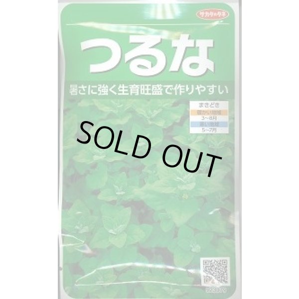 画像1: 送料無料　つるな　約85粒　(株)サカタのタネ　実咲250（002975） (1)