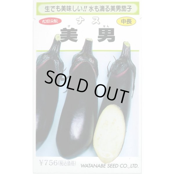 画像1: 送料無料　[なす]　美男　0.4ml(およそ60粒)　(株)渡辺採種場 (1)