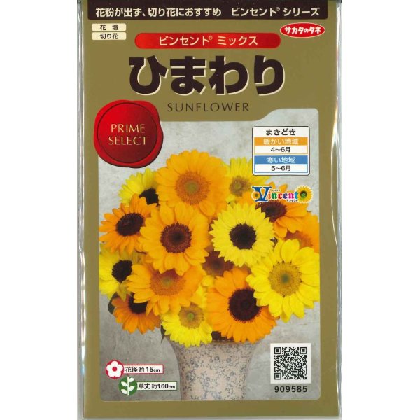 画像1: 花の種　ひまわり　ビンセント　ミックス　40粒　サカタのタネ（株）実咲500 (1)