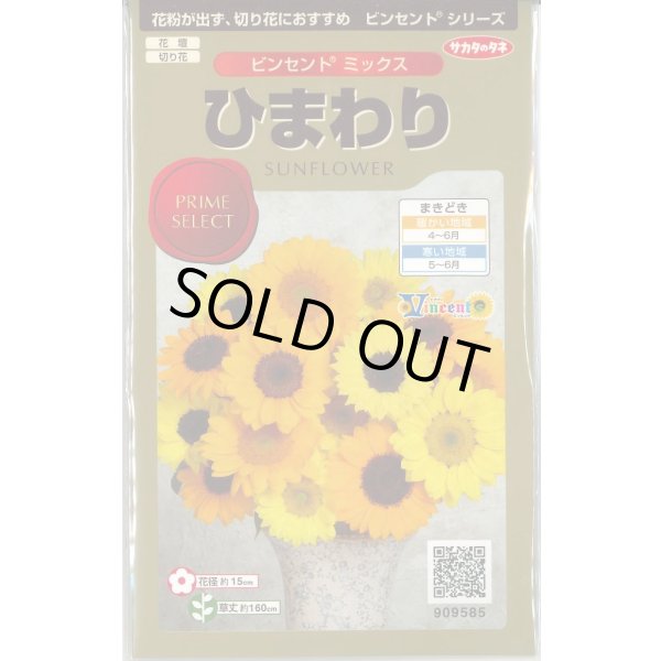 画像1: 送料無料　花の種　ひまわり　ビンセント　ミックス　40粒　(株)サカタのタネ　実咲500（026388） (1)
