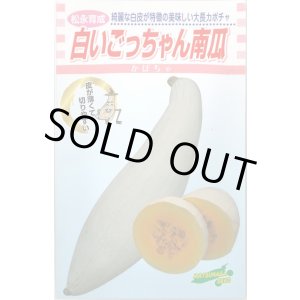 画像: 送料無料　[かぼちゃ]　白いごっちゃん南瓜　10粒　松永種苗(株)