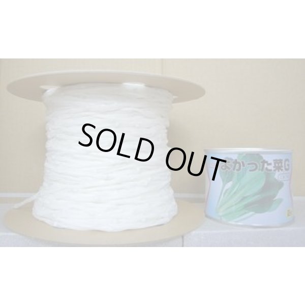 画像1: [シーダー種子]　小松菜　よかった菜G　1粒×5cm間隔 (1)