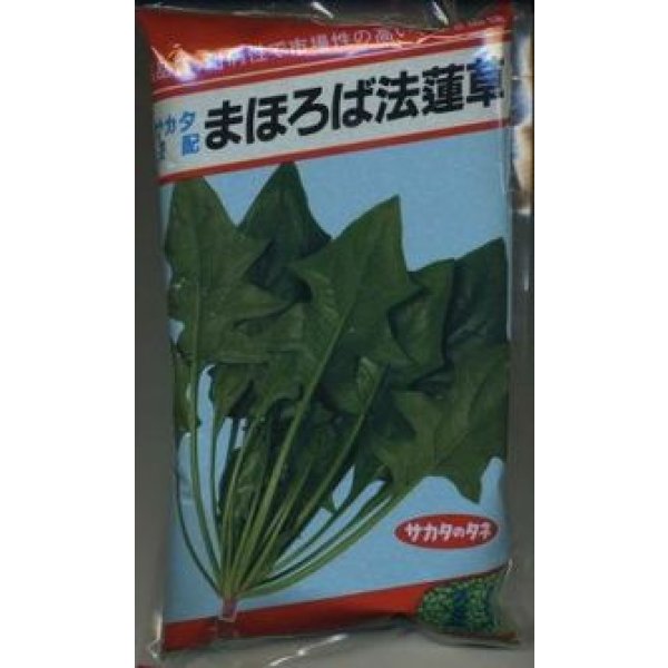 画像1: [ほうれんそう]　まほろば法蓮草　1L　（株）サカタのタネ (1)