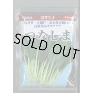 画像: 送料無料　[小松菜]　つなしま　2dl　（株）サカタのタネ