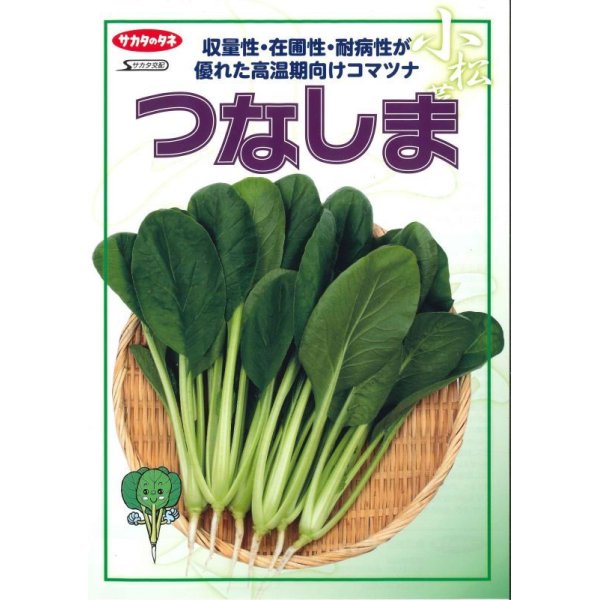 画像2: [小松菜]　つなしま　2dl　サカタ交配　 (2)
