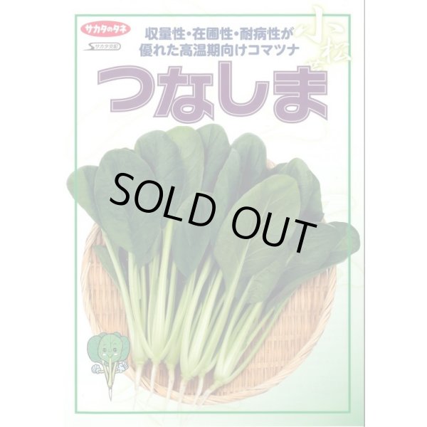 画像2: 送料無料　[小松菜]　つなしま　2dl　（株）サカタのタネ (2)