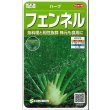 画像1: 送料無料　[ハーブの種]　フェンネル　約120粒　(株)サカタのタネ　実咲（003189） (1)
