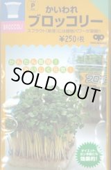 画像: 送料無料　スプラウト種子　かいわれブロッコリー　25ml　スプラウト専用(無消毒種子)　中原採種場(株)