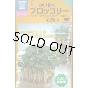 画像: 送料無料　スプラウト種子　かいわれブロッコリー　25ml　スプラウト専用(無消毒種子)　中原採種場(株)