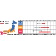 画像2: [豆類]　ササゲ　けごんの滝　約35粒　サカタのタネ（株）実咲200 (2)