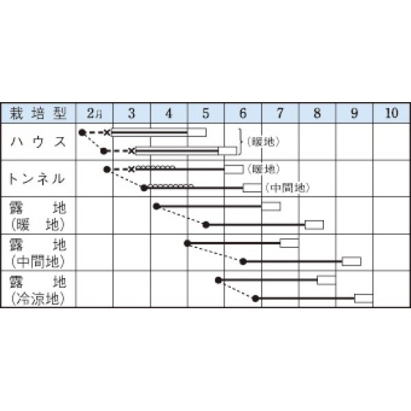 画像2: [枝豆]　富貴　1L　タキイ種苗 (2)