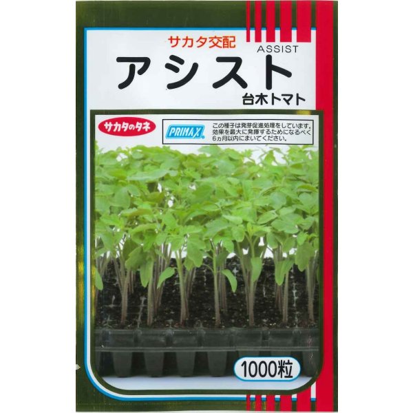 画像1: 送料無料　[台木/トマト用]　アシスト　1000粒　(株)サカタのタネ (1)