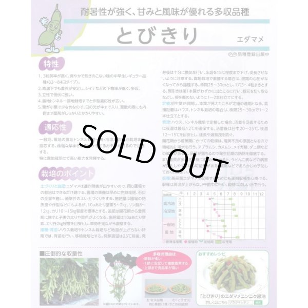 画像3: 送料無料　[枝豆]　とびきり　1dl　(株)サカタのタネ (3)