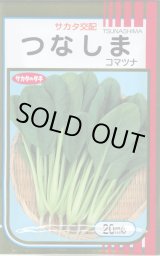 画像: [小松菜] つなしま 20ml （株）サカタのタネ