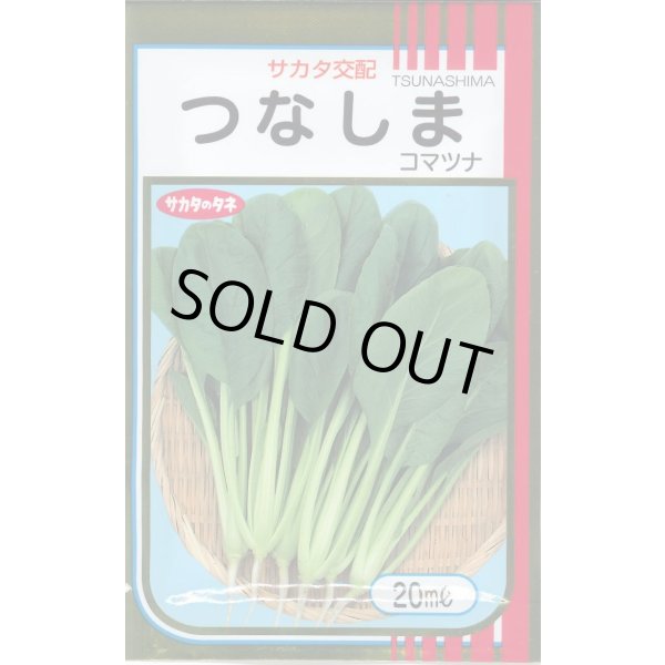 画像1: [小松菜] つなしま 20ml （株）サカタのタネ (1)