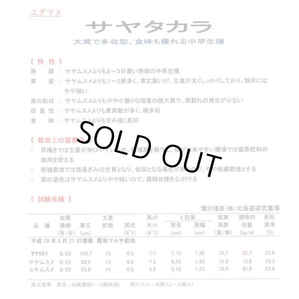 画像3: 送料無料　[枝豆]　サヤタカラ　70ml(およそ120粒)雪印種苗(株) (3)