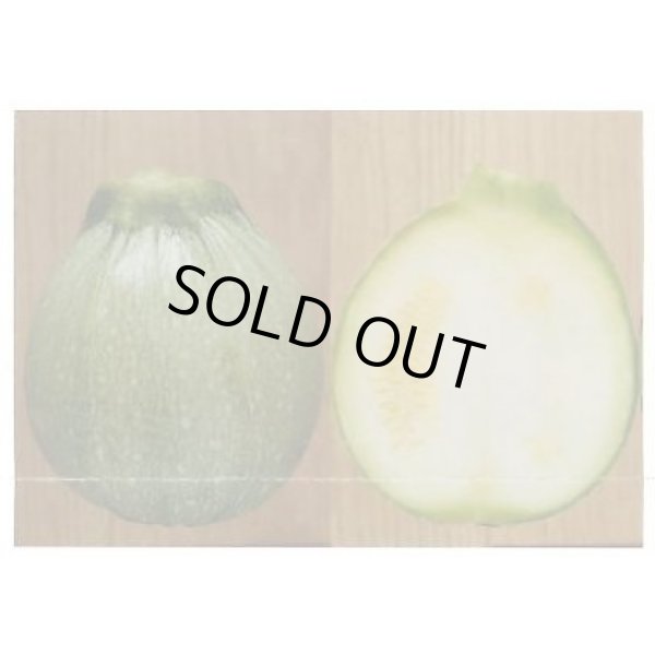 画像5: 送料無料　[ズッキーニ]　パリーノシリーズ　10粒　ネロ　トキタ種苗(株) (5)