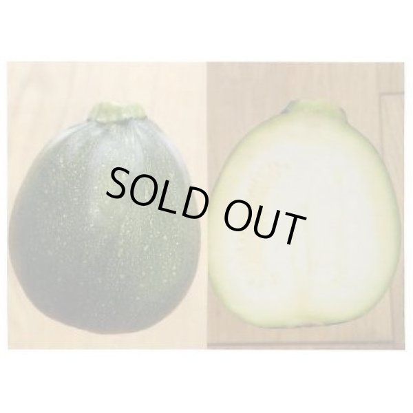 画像4: 送料無料　[ズッキーニ]　パリーノシリーズ　10粒　ネロ　トキタ種苗(株) (4)