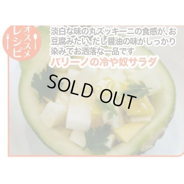 画像6: 送料無料　[ズッキーニ]　パリーノシリーズ　10粒　ネロ　トキタ種苗(株) (6)