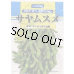 画像: [枝豆]　サヤムスメ　1L　雪印種苗(株)