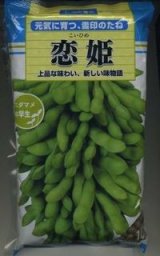 画像: [枝豆]　恋姫　1L　雪印種苗(株)
