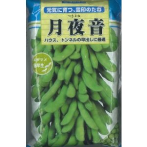 画像: [枝豆]　月夜音　1L　雪印種苗(株)